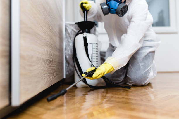 Best Best Pest Control Companies  in Mendenhall, MS