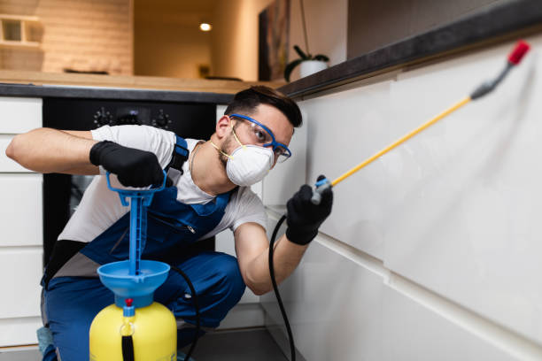 Best Mosquito Control Services  in Mendenhall, MS