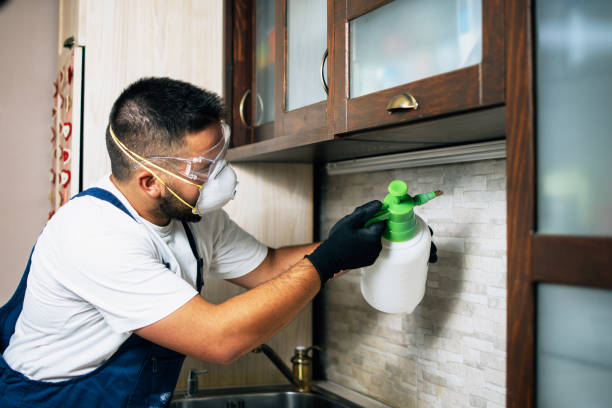 Best Pest Control for Homes  in Mendenhall, MS