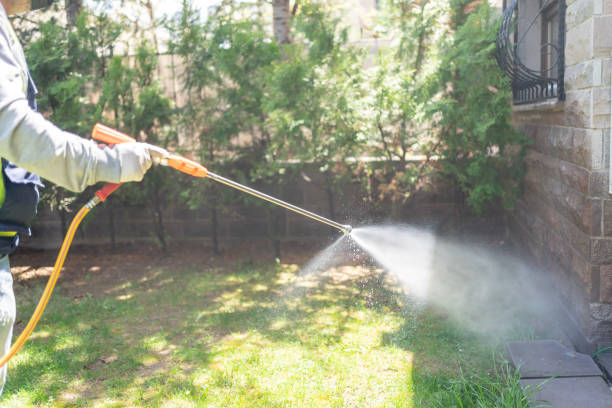 Best Emergency Pest Control  in Mendenhall, MS