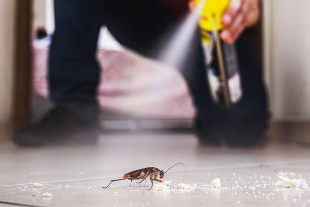 Wasp Removal Services in Mendenhall, MS