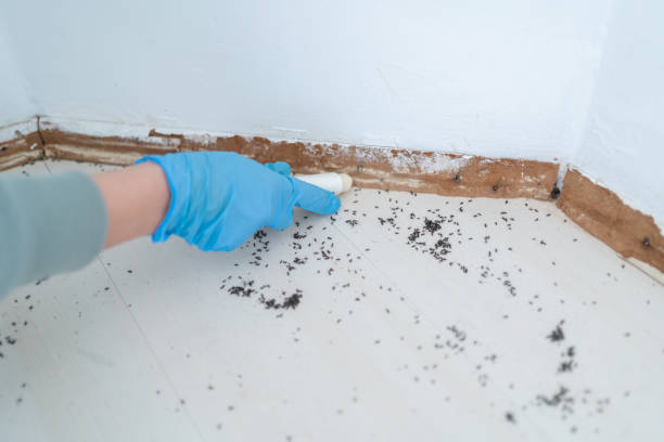 Best Residential Pest Control  in Mendenhall, MS